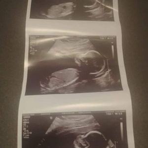 Meet your Posher, Holly